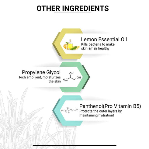 Keya Seth Aromatherapy Aloe Vera Gel Moisturizer