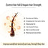 Keya Seth Aromatherapy Alopex Long N Strong Hair Oil