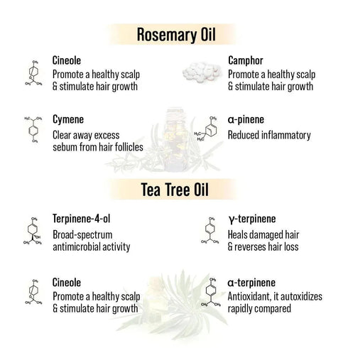 Keya Seth Aromatherapy Alopex Long N Strong Hair Oil
