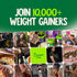 Alpino Ultimate Weight Gain Bundle