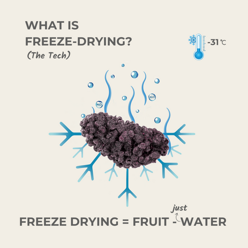 Everaw Nutrition Mulberry