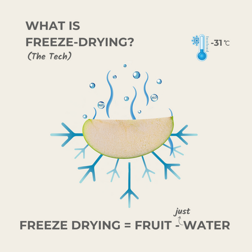 Everaw Nutrition Assorted Box