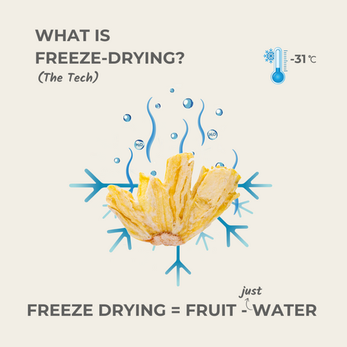 Everaw Nutrition Pineapple