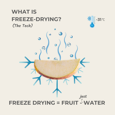 Everaw Nutrition Apple