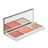 Praush Paradox Blush and Highlighter Palette