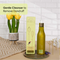Theearthcollective in Anti Dandruff Hair Cleanser Shampoo Neem & Fenugreek