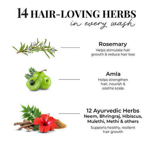 Jest herbs Anti Hairfall Shampoo | Rosemary