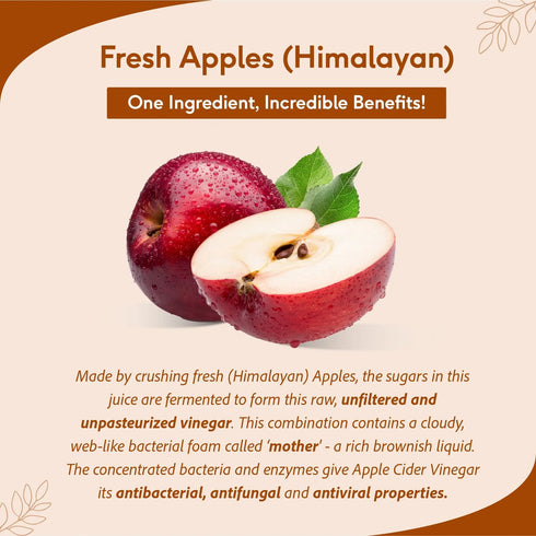 Sri sri tattva apple cider vinegar