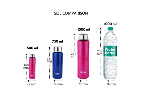 Milton Aqua Stainless Steel Bottle