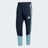 Adidas Argentina 26 Tiro Presentation Pants