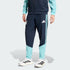 Adidas Argentina 26 Tiro Presentation Pants