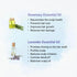 Keya Seth Aromatherapy Aromatic Spa Hair Conditioning Serum SPF 15