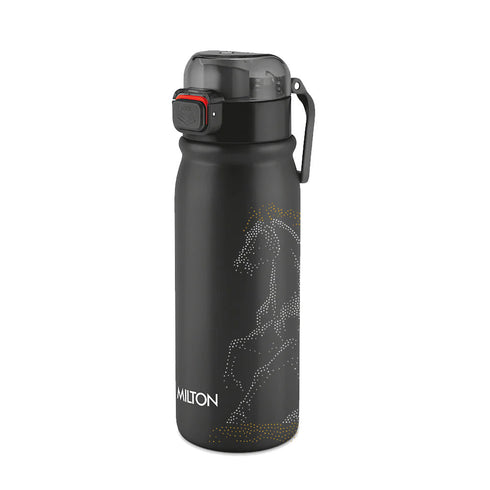 Milton Reva UV Design Stainless Steel Bottle