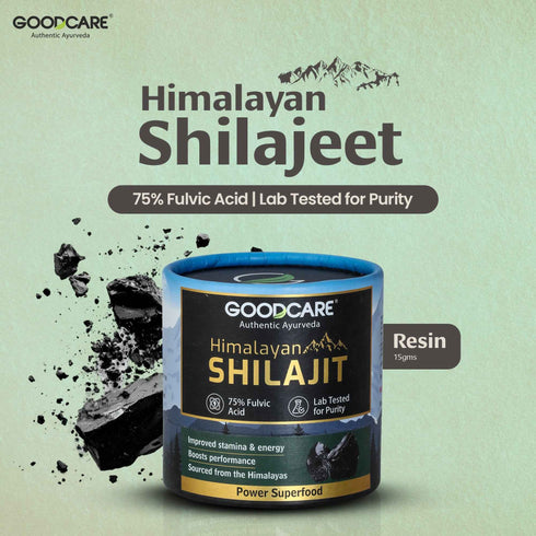 Goodcare Himalayan Shilajit Resin