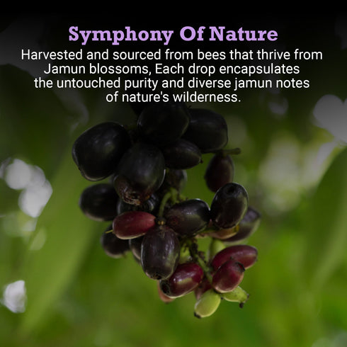 First Bud Organics Jamun Honey