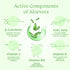Keya Seth Aromatherapy Hydrating & Brightening Skincare Routine Kit