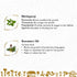 Keya Seth Aromatherapy Preventive Hair Care Treatment Kit