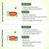 Keya Seth Aromatherapy Rosemary Essential Oil DIY Hair Growth Kit for Hair Regrowth