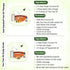 Keya Seth Aromatherapy Tea Tree Essential Oil DIY Hair Growth Kit for Hair Growth