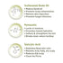 Keya Seth Aromatherapy Monsoon Haircare Kit