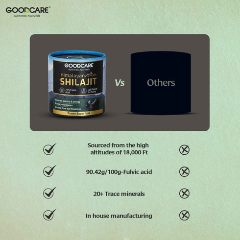 Goodcare Himalayan Shilajit Resin