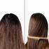 Theearthcollective in Almond Oil Plus Hair Oil For Dry & Rough Hair Triphala & Nagarmotha