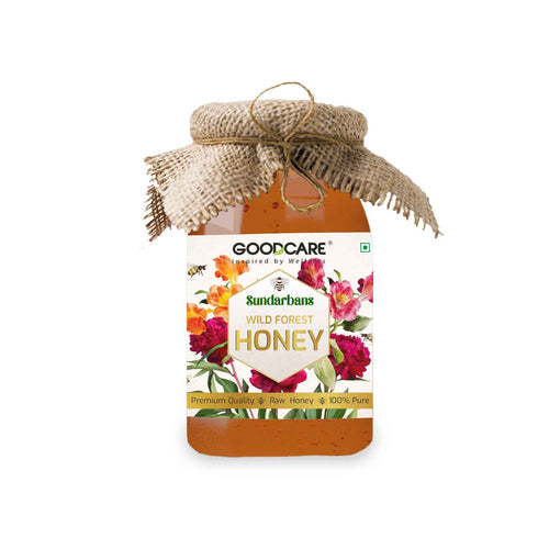 GoodCare Wild Forest Honey Natural