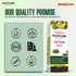 Goodcare EziSlim Slimming Juice