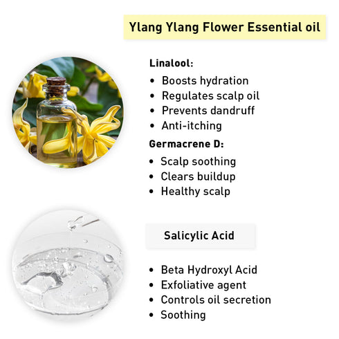 Keya Seth Aromatherapy Shine & Silk Colour Retaining Shampoo