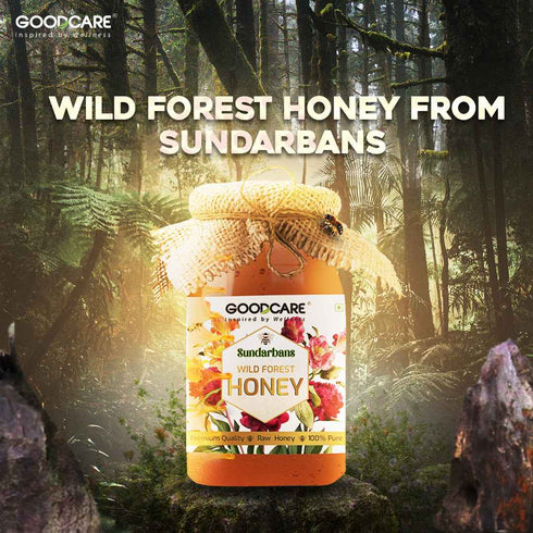 GoodCare Wild Forest Honey Natural