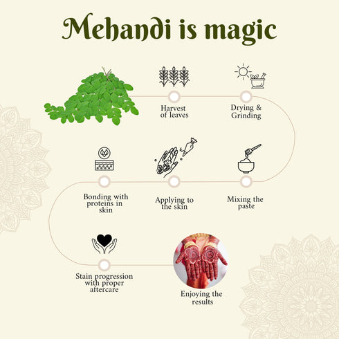 Parul Garg Beauty Signature Mehandi Pack