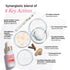The Pink Foundry Dark Spot & Hyperpigmentation Correcting Power Serum