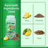 Multani Pharmaceuticals Limited Pachmeena Aam Digestive Care Drops Useful for Digestive & Flatulence