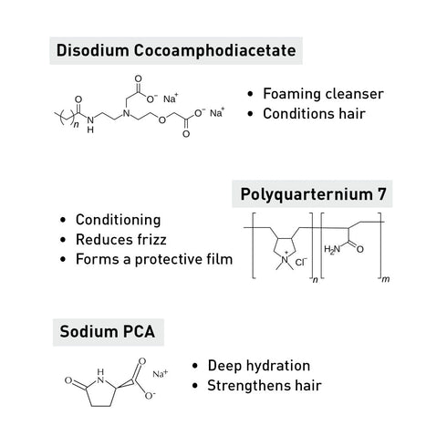 Keya Seth Aromatherapy Shine & Silk Colour Retaining Shampoo
