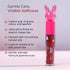 Whimsy Beauty Mauve Pop Lip Gloss