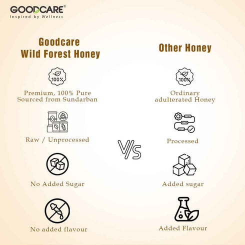 GoodCare Wild Forest Honey Natural