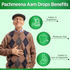 Multani Pharmaceuticals Limited Pachmeena Aam Digestive Care Drops Useful for Digestive & Flatulence