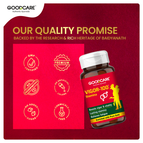 Goodcare Vigor 100 Stamina Capsule For Vitality & Energy