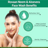 Multani Pharmaceuticals Limited Rovaan Neem & Aloe Vera Face Wash Prevents Pimple For All Skin Type