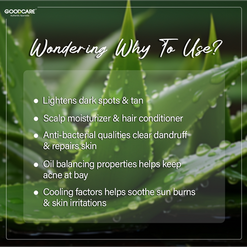 Goodcare Aloe vera Gel & Face wash Combo