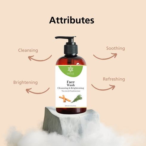 Natuur Tea Tree & Peppermint Face Wash Cleansing for Acne-Prone Skin