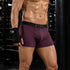 XYXX Alpha Tactel Trunks - Auburn Red
