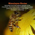 First Bud Organics Pahadi Honey