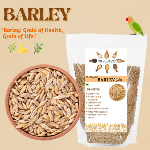 Millet Mania Barley