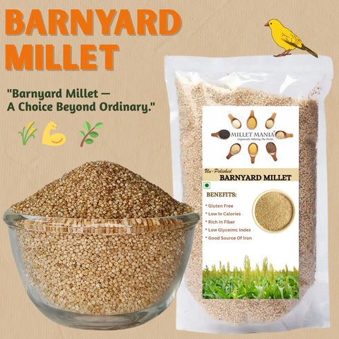 Millet Mania Barnyard Millet