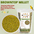Millet Mania Browntop Millet