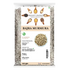 Millet Mania Bajra Murmura