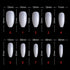 Shills Professional PKT 500pcs Ballet Nail Tips