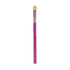 Colors Queen Colors Queen Fashion Brush Set