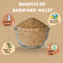 Millet Mania Barnyard Millet